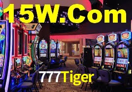 Premium Interface 777Tiger